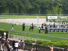 20140531 東京6R オウケンブラック 16