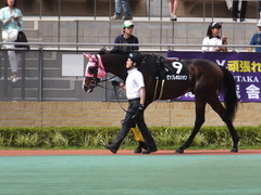 20160710 中京10R 木曽川特別(1000) ビップレボルシオン 08