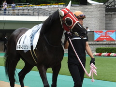 20140628 東京2R トマトリコピン 05