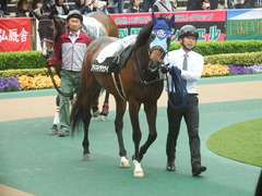 20190427 東京9R 秩父特別(1000) アドマイヤシナイ 14