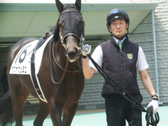 20190511 東京5R 3歳未勝利 ホウオウヒミコ 11