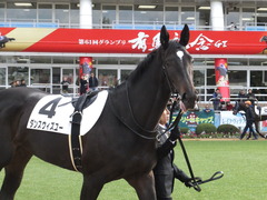 20161218 中山4R 2歳未勝利 ダンスウィズユー 03