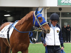 20150315 中山5R 3歳未勝利 02