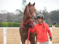 20190310 中山11R アネモネS 3歳牝馬OP オトナノジジョウ 28