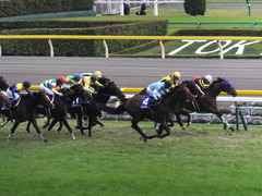 20141102 天皇賞(秋) サトノノブレス&ラブイズブーシェ 02