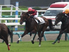 20160917 中山5R 2歳メイクデビュー メガポリゴン 21