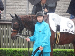 20171022 東京3R 2歳未勝利 マイネルスリーディ 03
