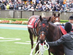 201301109 東京 ライアンセンス 07