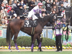 20190323 中山9R ミモザ賞 3歳牝馬(500) トロハ 11