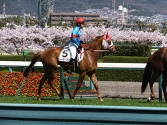 20150404 阪神4R 3歳未勝利 レーヌドブリエ 14