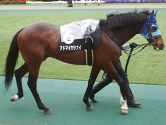 20190427 東京9R 秩父特別(1000) アドマイヤシナイ 15