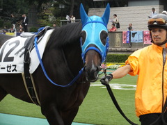 20151017 東京4R 2歳メイクデビュー モーゼス 11