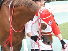 20151010 東京9R 山中湖特別 レーヌドブリエ 09