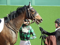 20180325 中山1R 3歳未勝利 ルフィーナ 19