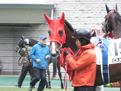 20161119 東京1R 2歳未勝利 パイオニアワーク 08