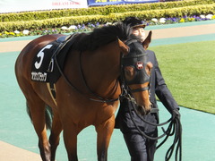 20150221 東京9R 4歳上1000万下 オウケンブラック 02