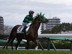 20140405 中山5R ポッドコンジュ 11