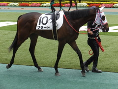 20170611 東京6R 2歳牝馬メイクデビュー サラート 12