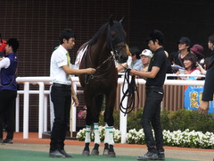 20140907 札幌4R キングラナキラ 06