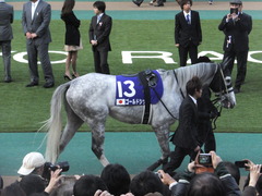 20131124 JC(G1)ゴールドシップ05