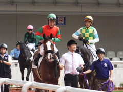 20161002 阪神5R 2歳メイクデビュー プンメリン 17
