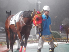 20180523 大井12R 薫風賞 B2 マイネルグルマン 04