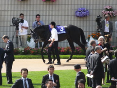 20140504 京都11R 天皇賞春 サトノノブレス 10