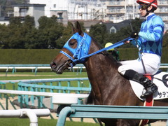 20170225 阪神4R 3歳未勝利 サテンドール 24