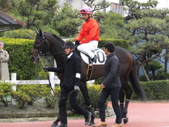 20170315 船橋1R 3歳 エッジ 13