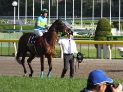 20170423 東京11R フローラS(G2) ビルズトレジャー 20