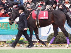 20180225 中山11R 中山記念(G2) マイネルサージュ 02