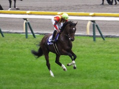 20161030 東京11R 天皇賞・秋(G1) モーリス 23