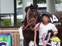 20170624 函館10R 湯川特別(500) ホウオウドリーム 07