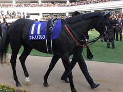 20141228 中山10R 有馬記念 サトノノブレス 01