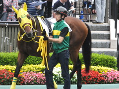 20160612 東京12R 3歳上500万下 ノーブルクリスタル 04