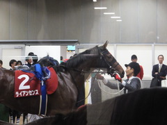 201301109 東京 ライアンセンス 13