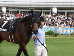 20150927 中山9R 芙蓉S プロディガルサン 11
