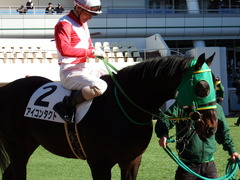 20171228 中山4R 2歳未勝利 アイコンタクト 08