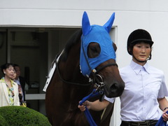 20150927 中山3R 3歳未勝利 タニオブキャップ 08