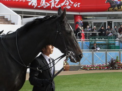 20161218 中山4R 2歳未勝利 ダンスウィズユー 07