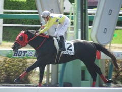 20180324 中山1R 3歳未勝利 ノーザンクリス 18