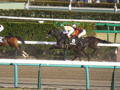 20150228 中山11R 総武S 4歳上1600万下 ベルゲンクライ 12