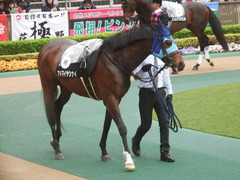 20190427 東京9R 秩父特別(1000) アドマイヤシナイ 09