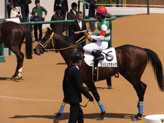 20150328 中山4R 3歳未勝利 ラッシュアタック 18