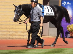 20140928 新潟4R ファインライナー 02