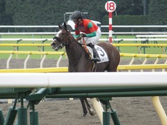 20170625 東京1R 3歳牝馬未勝利 プンメリン 29