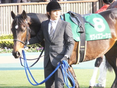20150221 東京11R ダイヤモンドS(G3) ラブイズブーシェ 08