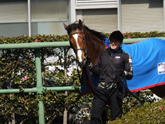 20140308 中山6R レッドリベリオン 20