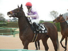 20190323 中山9R ミモザ賞 3歳牝馬(500) トロハ 19