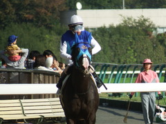 20181111 東京7R (500) アドマイヤムテキ 17